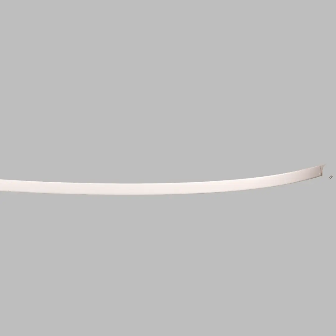 BMW F06 Modanatura Tetto Ringhiera Grondaia Sinistra Alpine White - 300 - SKU 7302973-AW - Numero di parte 7302973