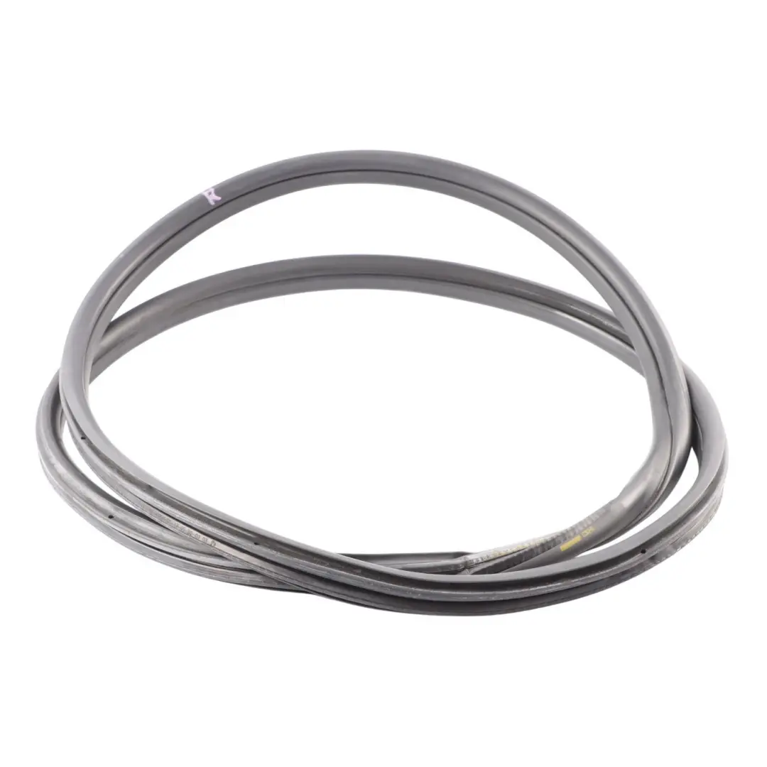  Front Door Seal BMW F30 F31 Protection Gasket Rubber Left Right N/O/S - SKU 7303968 - Part number 7303968