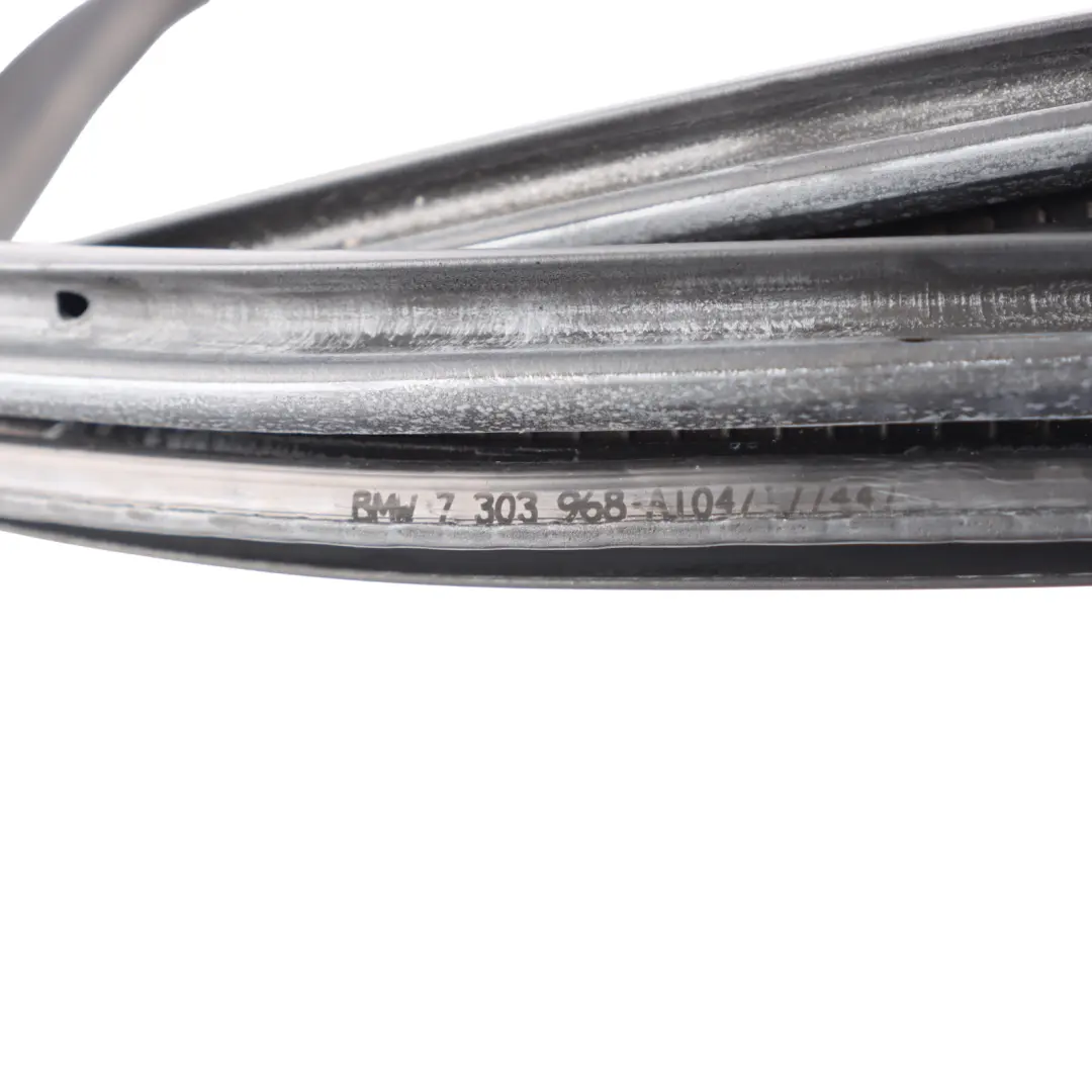  Guarnizione porta anteriore BMW F30 F31 sinistra destra protezione gomma - SKU 7303968 - Numero di parte 7303968
