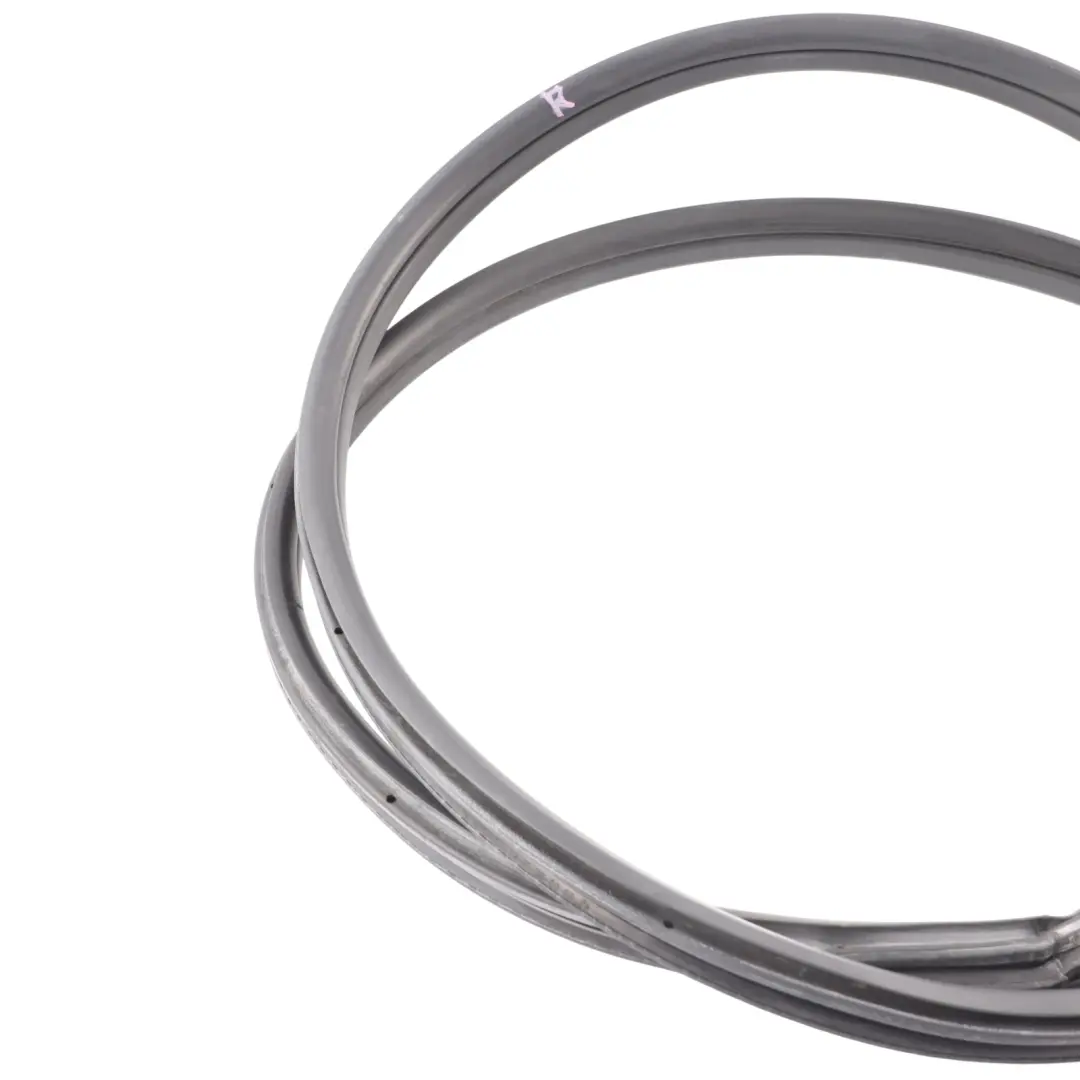  Sello Puerta Delantera BMW F30 F31 Izquierda Derecha de Protección Goma - SKU 7303968 - Número de pieza 7303968