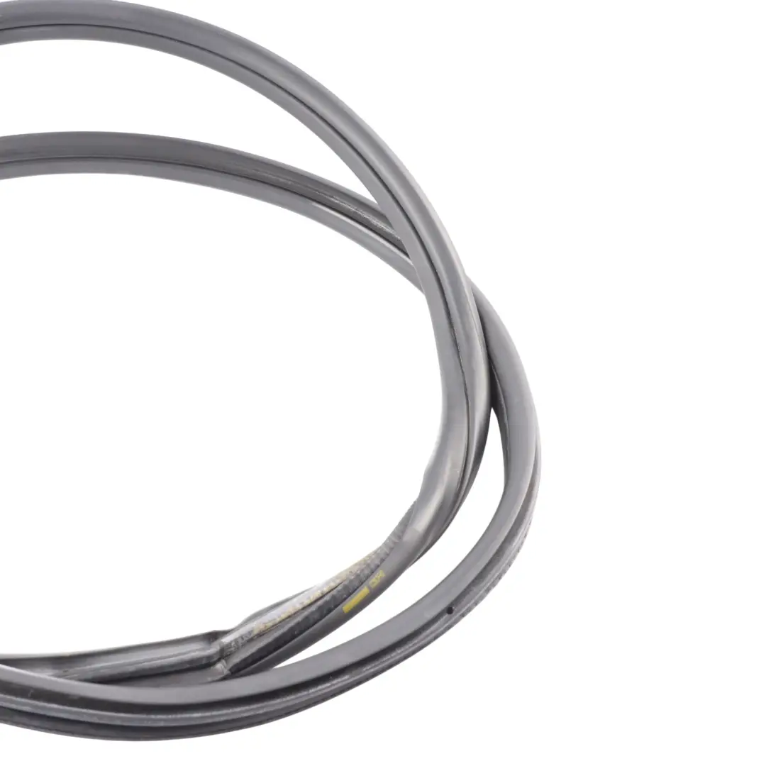  Guarnizione porta anteriore BMW F30 F31 sinistra destra protezione gomma - SKU 7303968 - Numero di parte 7303968