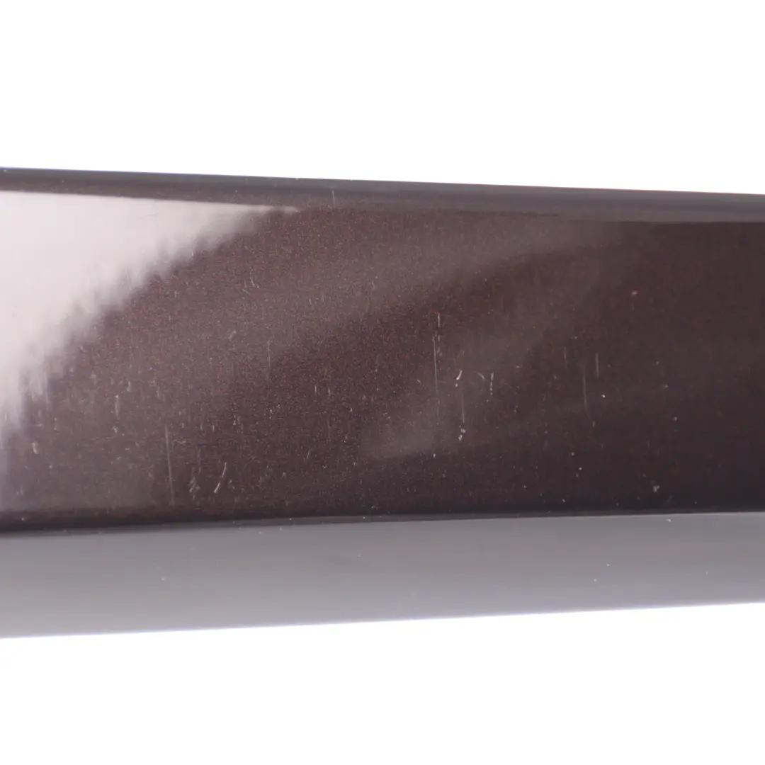 BMW X1 E84 Tapa Tarjeta Puerta Delantera Izquierda Alto Brillo Marrón - SKU 7317555 - Número de pieza 7317555