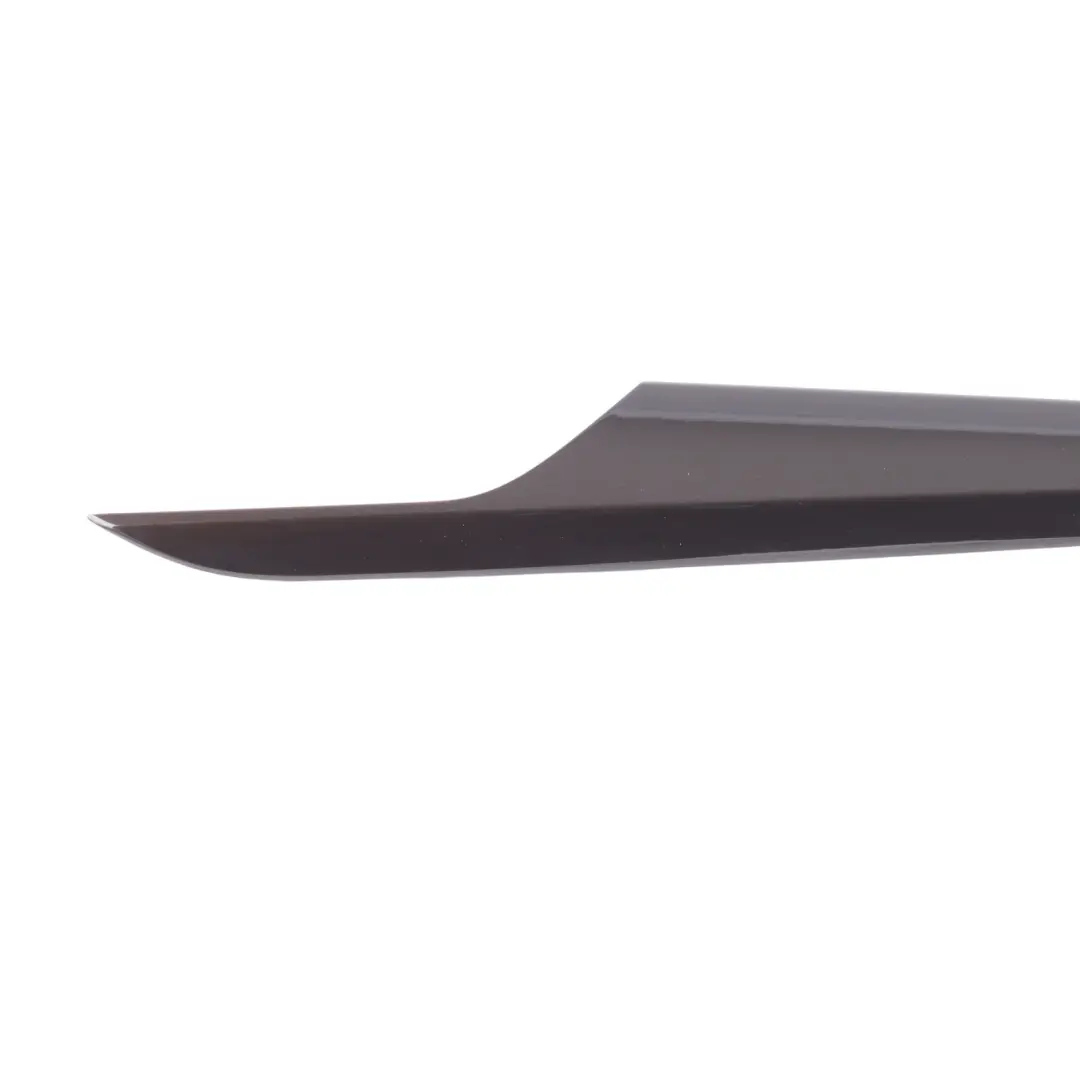 BMW X1 E84 Tapa Tarjeta Puerta Delantera Izquierda Alto Brillo Marrón - SKU 7317555 - Número de pieza 7317555