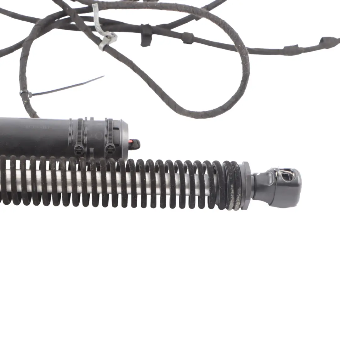 Portón Trasero Automático Spindle Drive Tailgate Strut Left para BMW F10 con número de pieza 7373438 BMW F10 Portón Trasero Automático Spindle Drive Tailgate Strut Left - SKU 7373438 - Número de pieza 7373438