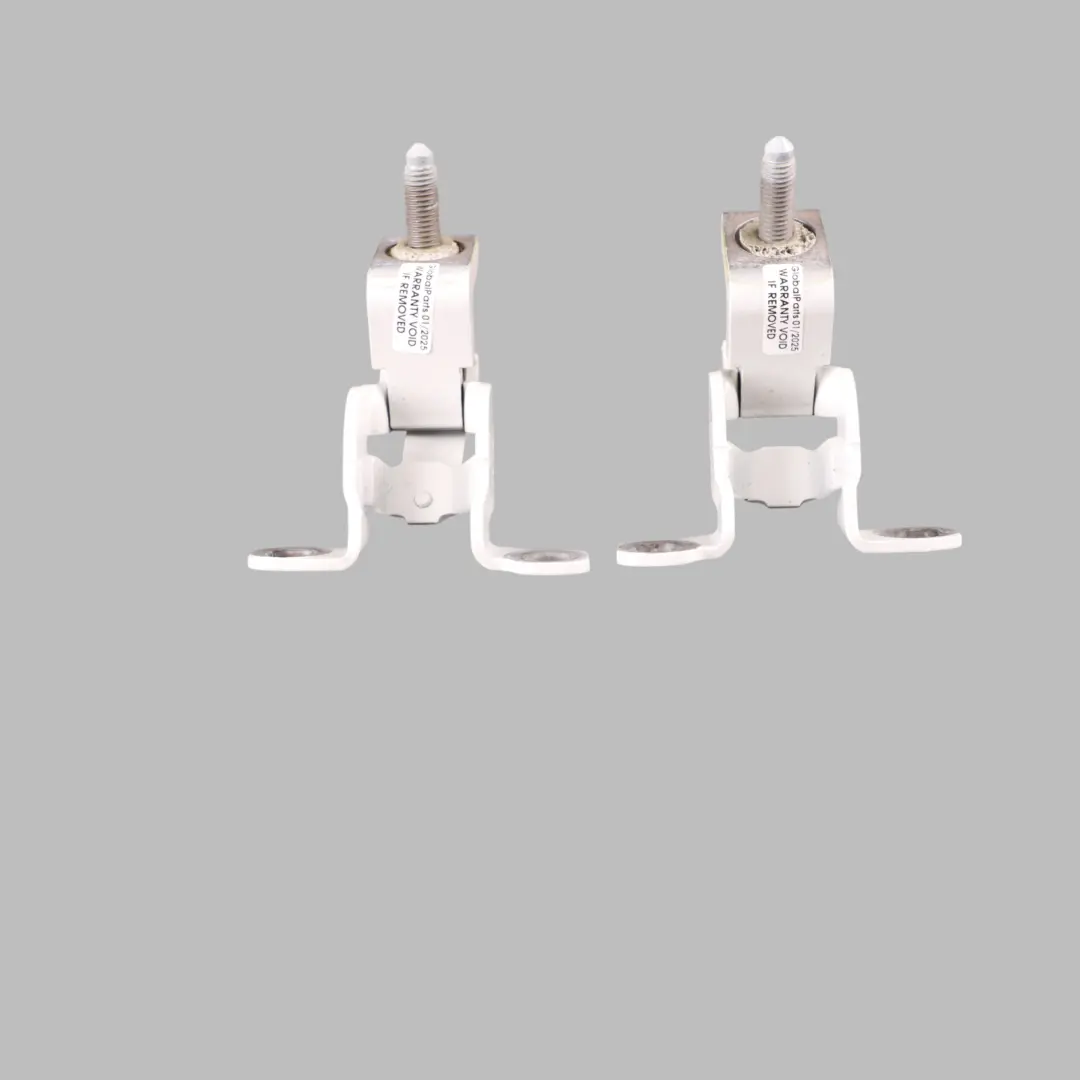 BMW F40 Boot Trunk Left Right N/O/S Upper Hinges Set Alpinweiss 3 White - 300 - SKU 7456046-AW - Part number 7456046
