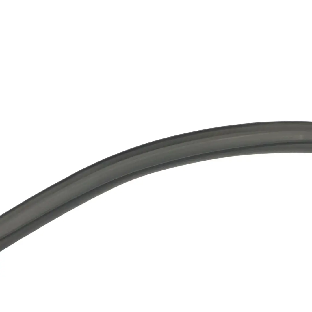 Audi Q5 FY Porta anteriore telaio finestra guida guarnizione sinistra - SKU 80A831721C - Numero di parte 80A831721C