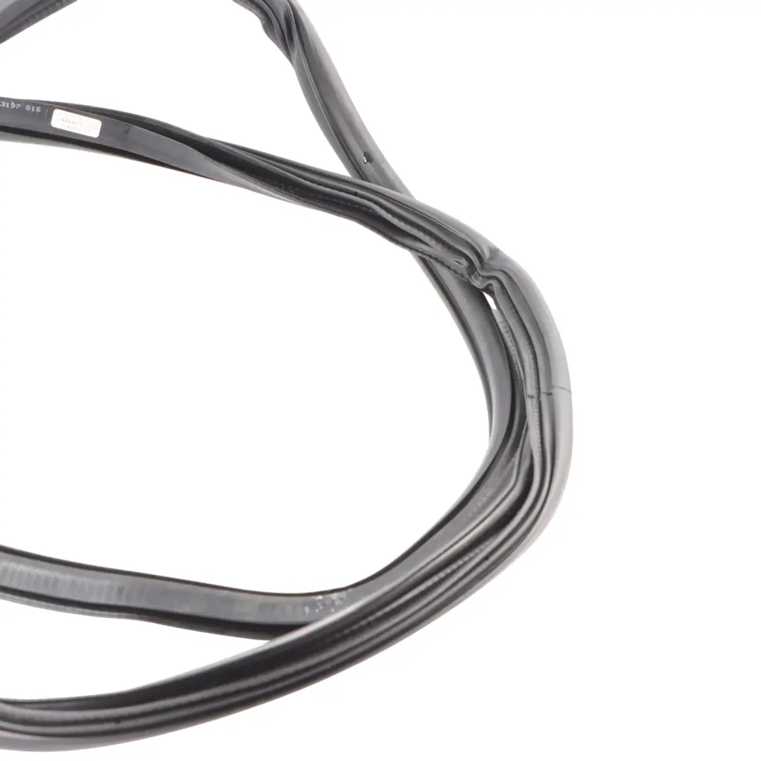Audi Q5 FY Guarnizione protezione portiera posteriore sinistra destra - SKU 80A833721E - Numero di parte 80A833721E
