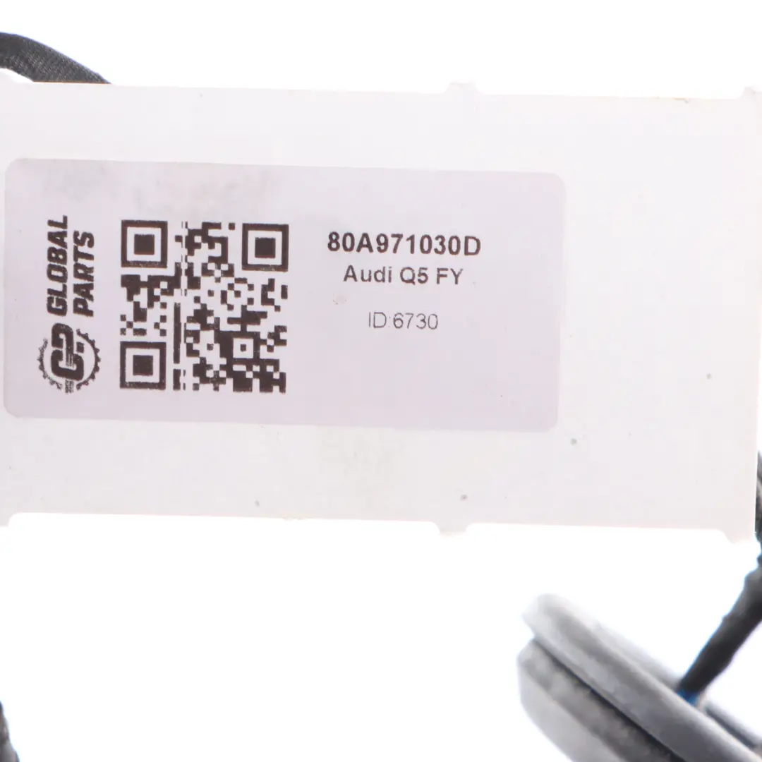 Audi Q5 FY Front Passenger Door Wiring Harness Cable Loom - SKU 80A971030D - Part number 80A971030D