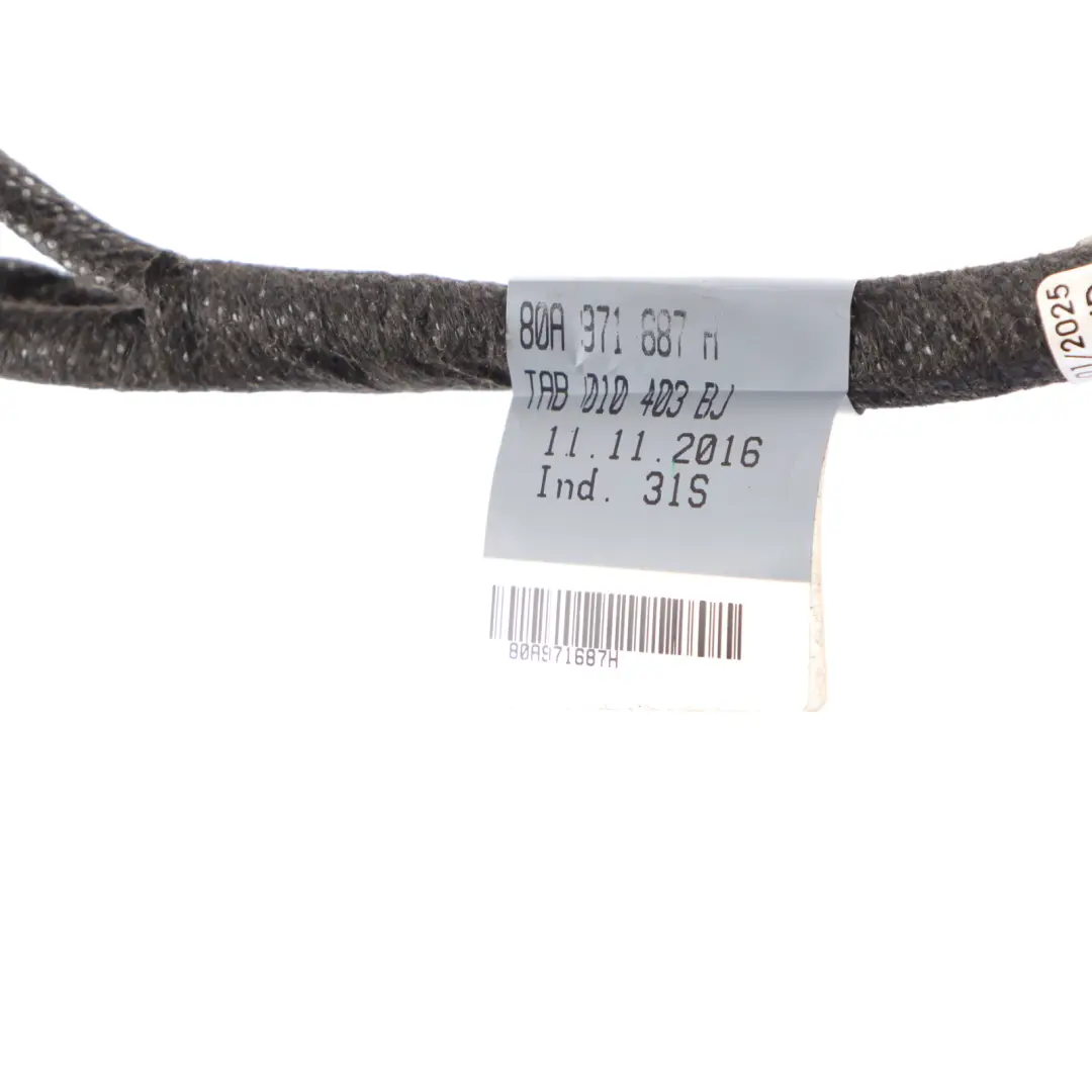  Cableado arnés puerta trasera Audi Q5 FY Cable izquierdo y derecho - SKU 80A971687H - Número de pieza 80A971687H