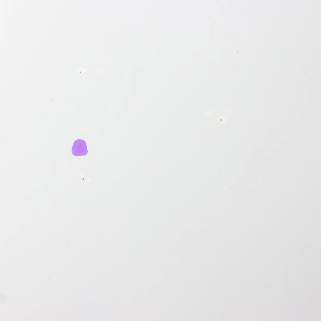 Audi TT 8J Front Hood Bonnet Panel Covering Glacier White Pearl - S9R - SKU 8J0823029E-MGW - Part number 8J0823029E