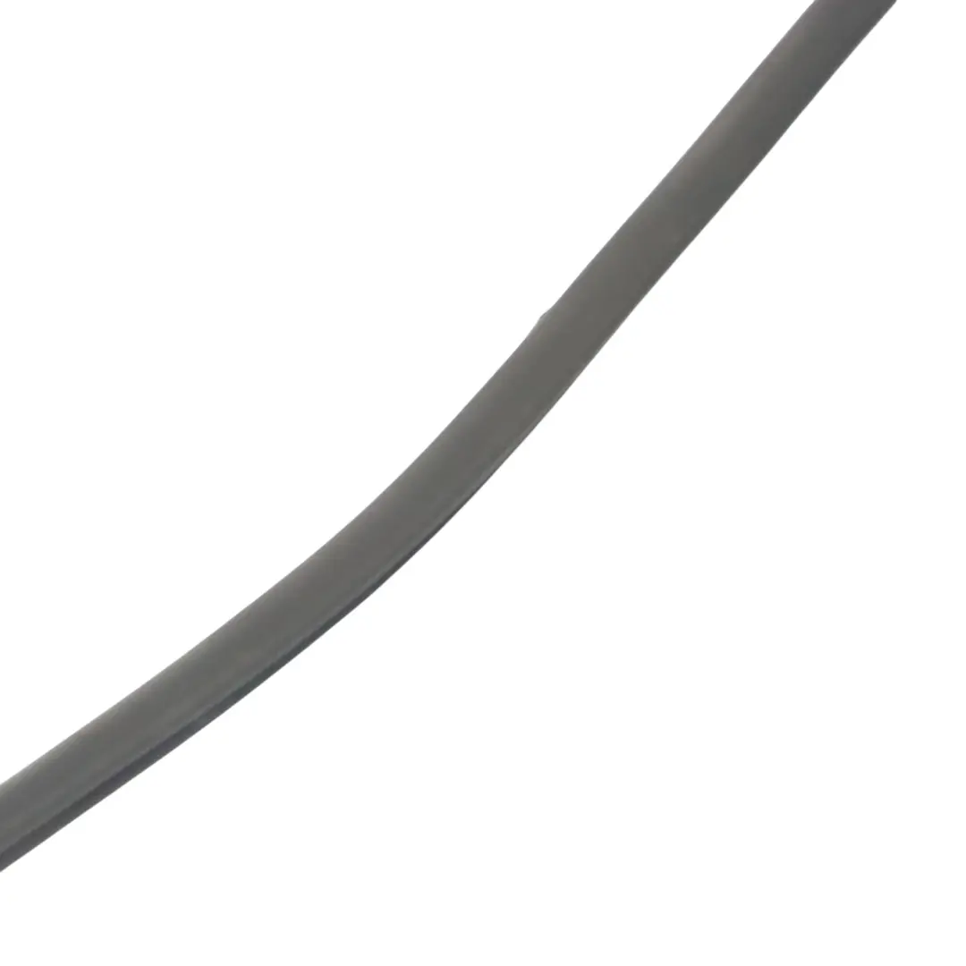 Audi TT 8J Striscia anteriore del cofano motore in gomma guarnizione 8J08237B - SKU 8J0823731B - Numero di parte 8J0823731B