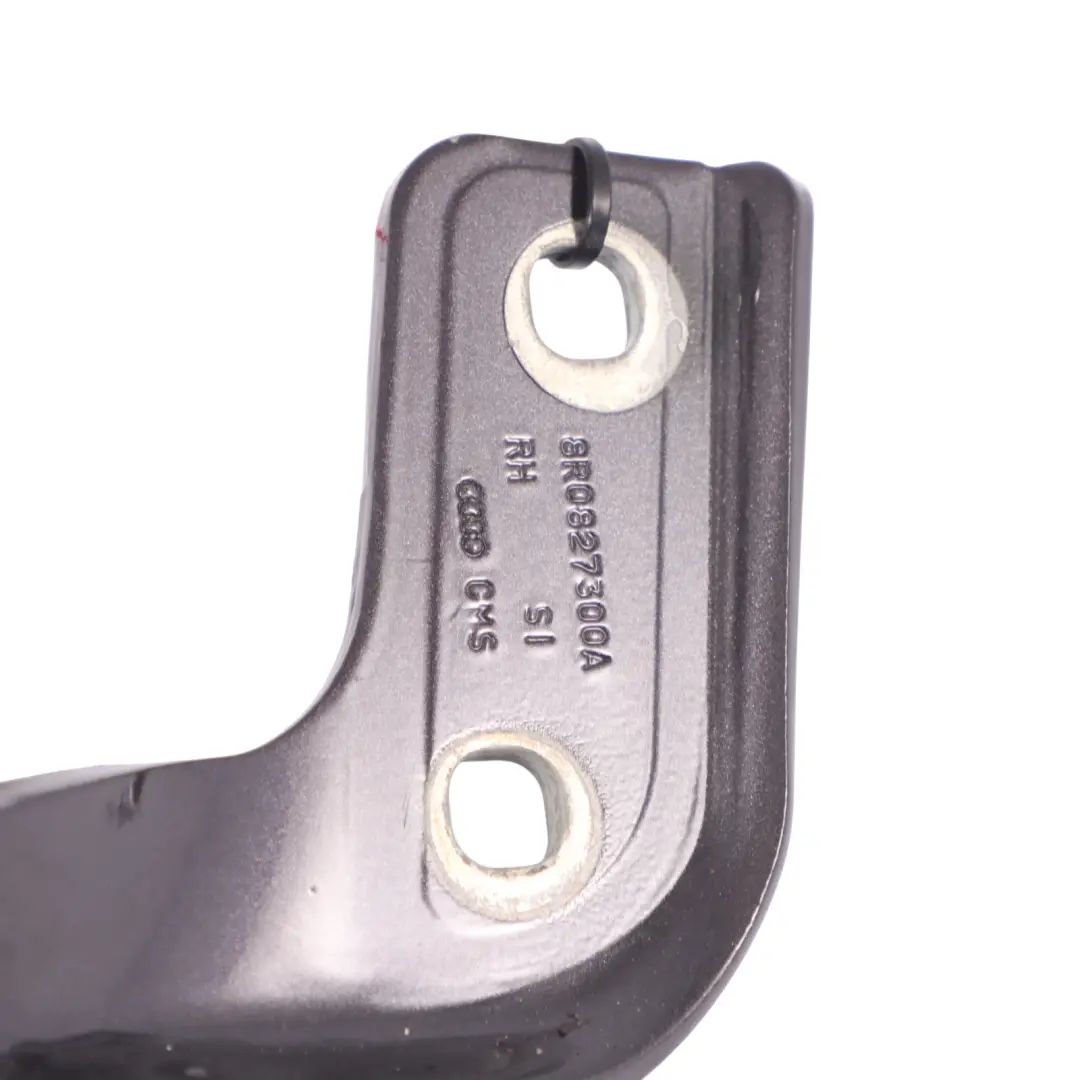 Charnière de hayon de coffre arrière droite gris améthyste - Z4X pour Audi Q5 8R à propos du numéro de pièce 8R0827300A Audi Q5 8R Charnière de hayon de coffre arrière droite gris améthyste - Z4X - SKU 8R0827300A-AGM - Numéro de pièce 8R0827300A