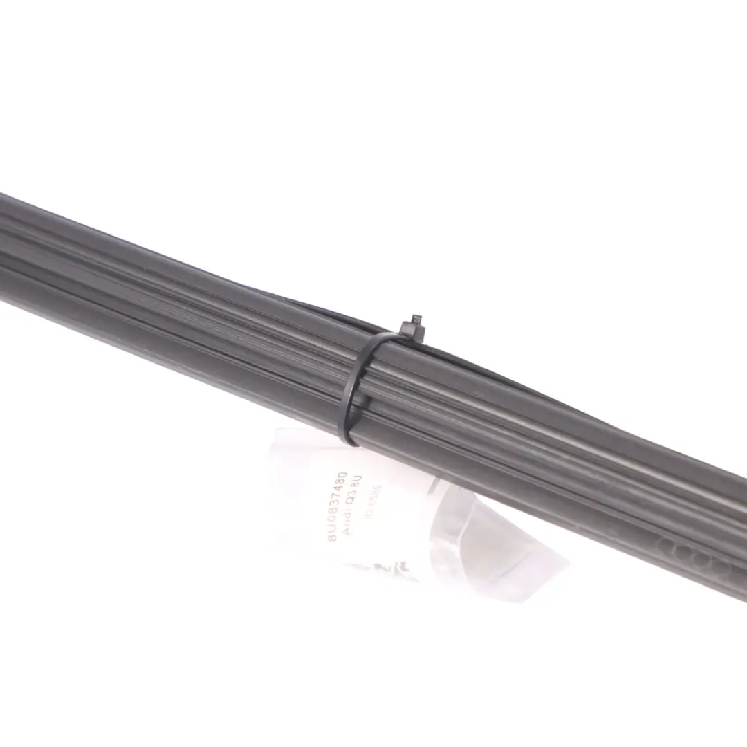 Audi Q3 8U Window Seal Strip Inner Door Front Right Weatherstrip - SKU 8U0837480 - Part number 8U0837480