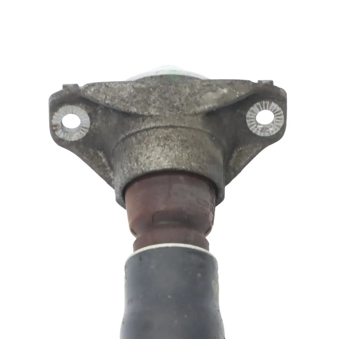 puntone a molla posteriore sinistro destro ammortizzatore per Audi A4 B9 con numero di parte 8W0513028AQ Audi A4 B9 puntone a molla posteriore sinistro destro ammortizzatore - SKU 8W0513028AQ - Numero di parte 8W0513028AQ