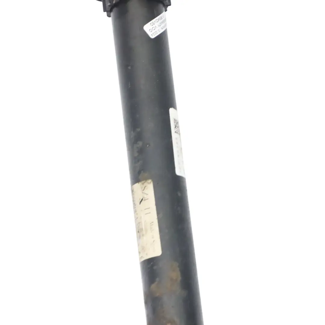 puntone a molla posteriore sinistro destro ammortizzatore per Audi A4 B9 con numero di parte 8W0513028AQ Audi A4 B9 puntone a molla posteriore sinistro destro ammortizzatore - SKU 8W0513028AQ - Numero di parte 8W0513028AQ