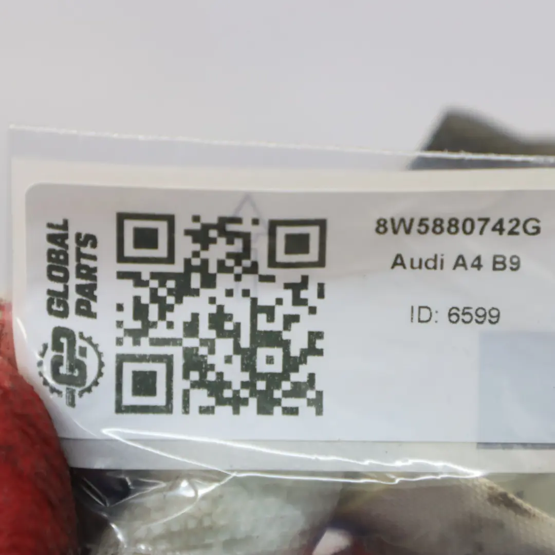Audi A4 B9 Headliner Cortina de Techo Módulo de Aire Derecho - SKU 8W5880742G - Número de pieza 8W5880742G