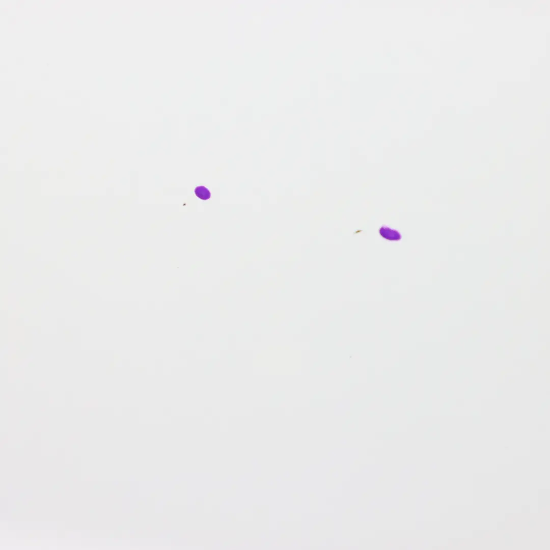 Door Front Left N/S Covering Panel Glacier White Pearl - S9R to Audi A1 8X with Part number 8X0821105A-MGW Audi A1 8X Door Front Left N/S Covering Panel Glacier White Pearl - S9R - SKU 8X3831051B-MGW - Part number 8X0821105A-MGW