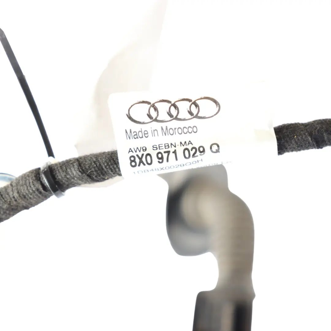 Audi A1 8X Faisceau Câblage Porte Avant Côté Conducteur 8X0971029Q - SKU 8X0971029S - Numéro de pièce 8X0971029S