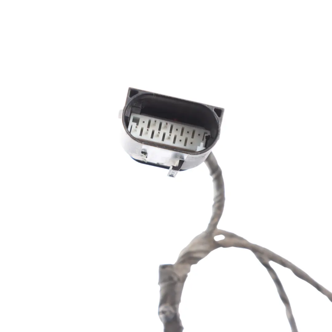 BMW F10 Front Bumper PDC Wiring Parking Sensor Loom Harness - SKU 9246831 - Part number 9246831
