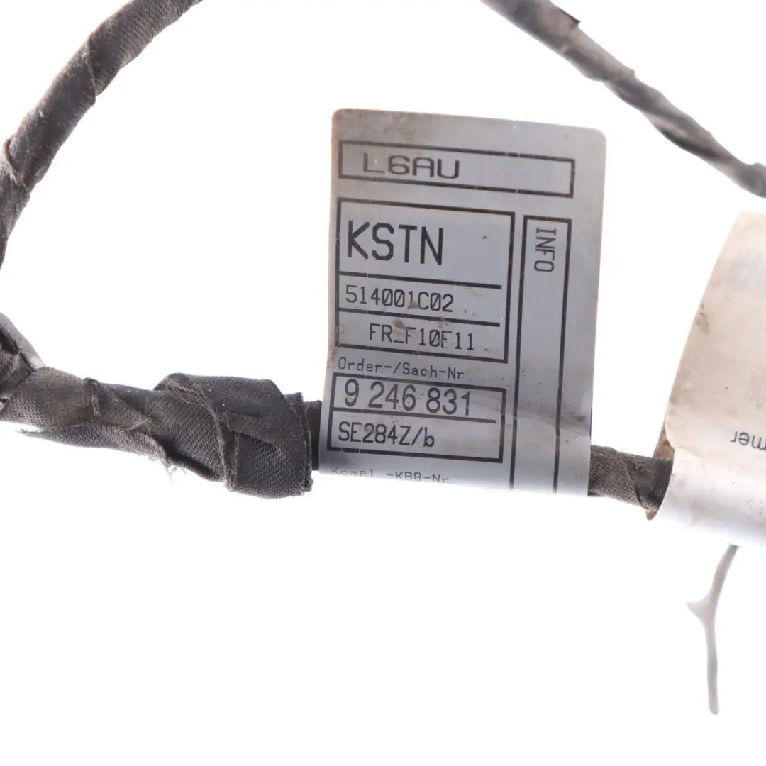 BMW F10 Front Bumper PDC Wiring Parking Sensor Loom Harness - SKU 9246831 - Part number 9246831