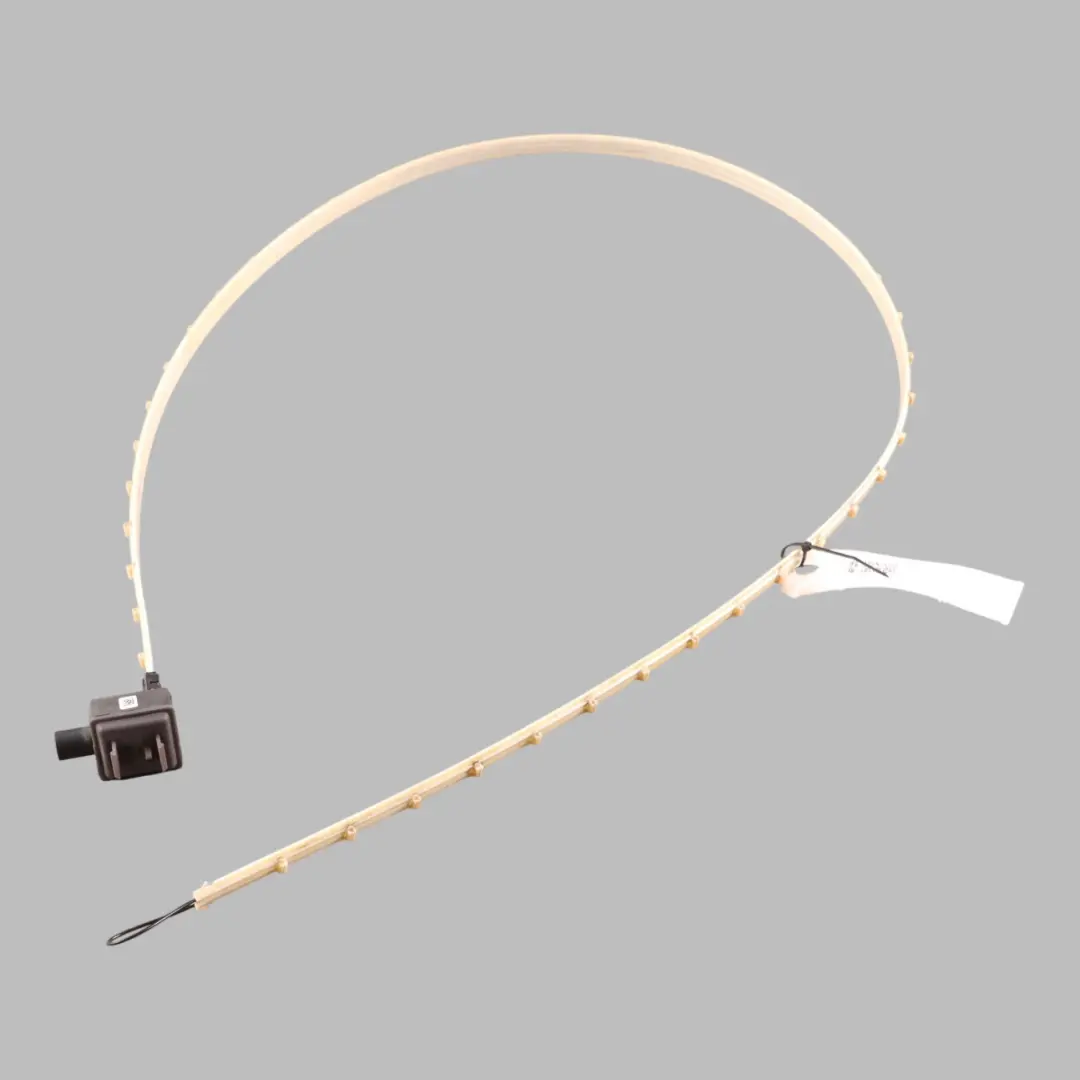 BMW F34 GT Fiber Optic Sensor Pedestrian Protection PTS Control Unit - SKU 9318775-1 - Part number 9318775
