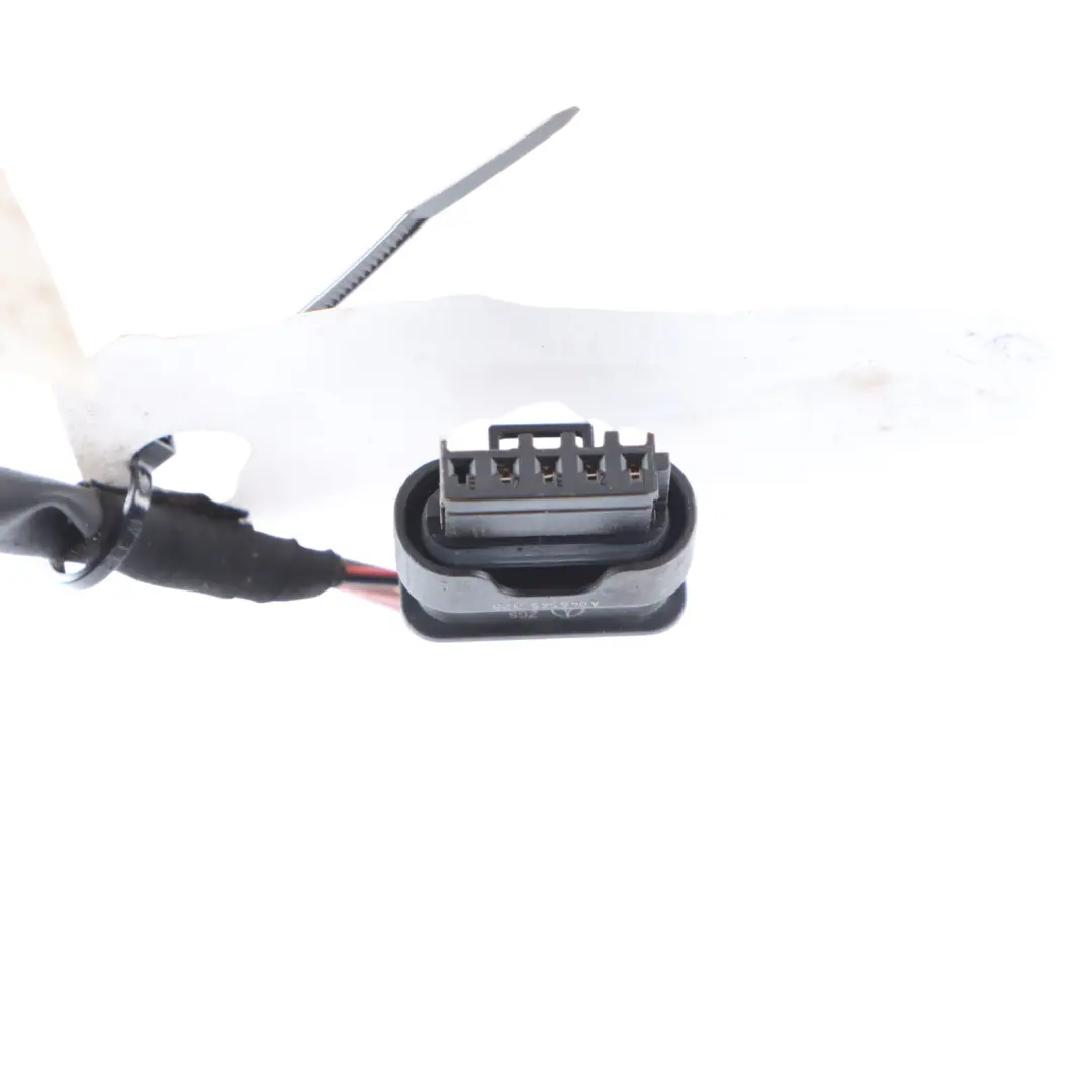 Mercedes C207 E400 M276 Petrol NOx Sensor Adapter Wiring Cable - SKU A2074409810 - Part number A2074409810