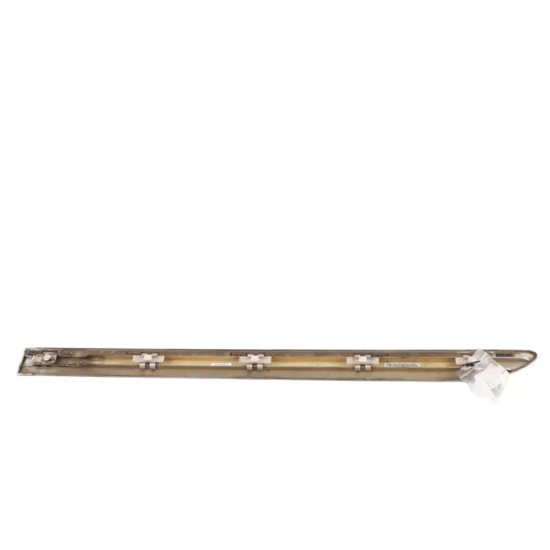 Mercedes W251 Türverkleidung Zierleiste Hinten Rechts Iridiumsilber Metallic 775 - SKU A2516902462-IRS - Teilenummer A2516902462