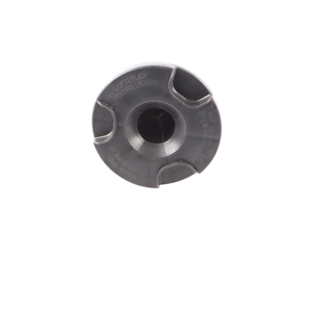 Mercedes W164 X166 W251 Kofferraum Ersatzrad Halterung Träger Bolzen - SKU A2518980114 - Teilenummer A2518980114