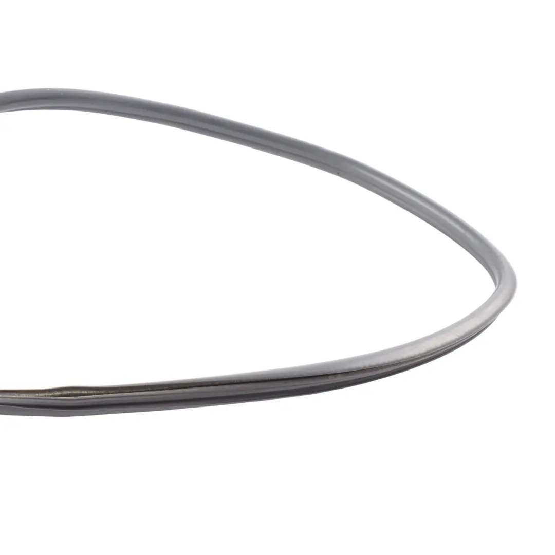  Window Seal Mercedes W906 W907 Door Gasket Frame Left Right N/O/S - SKU A9066712120 - Part number A9066712120
