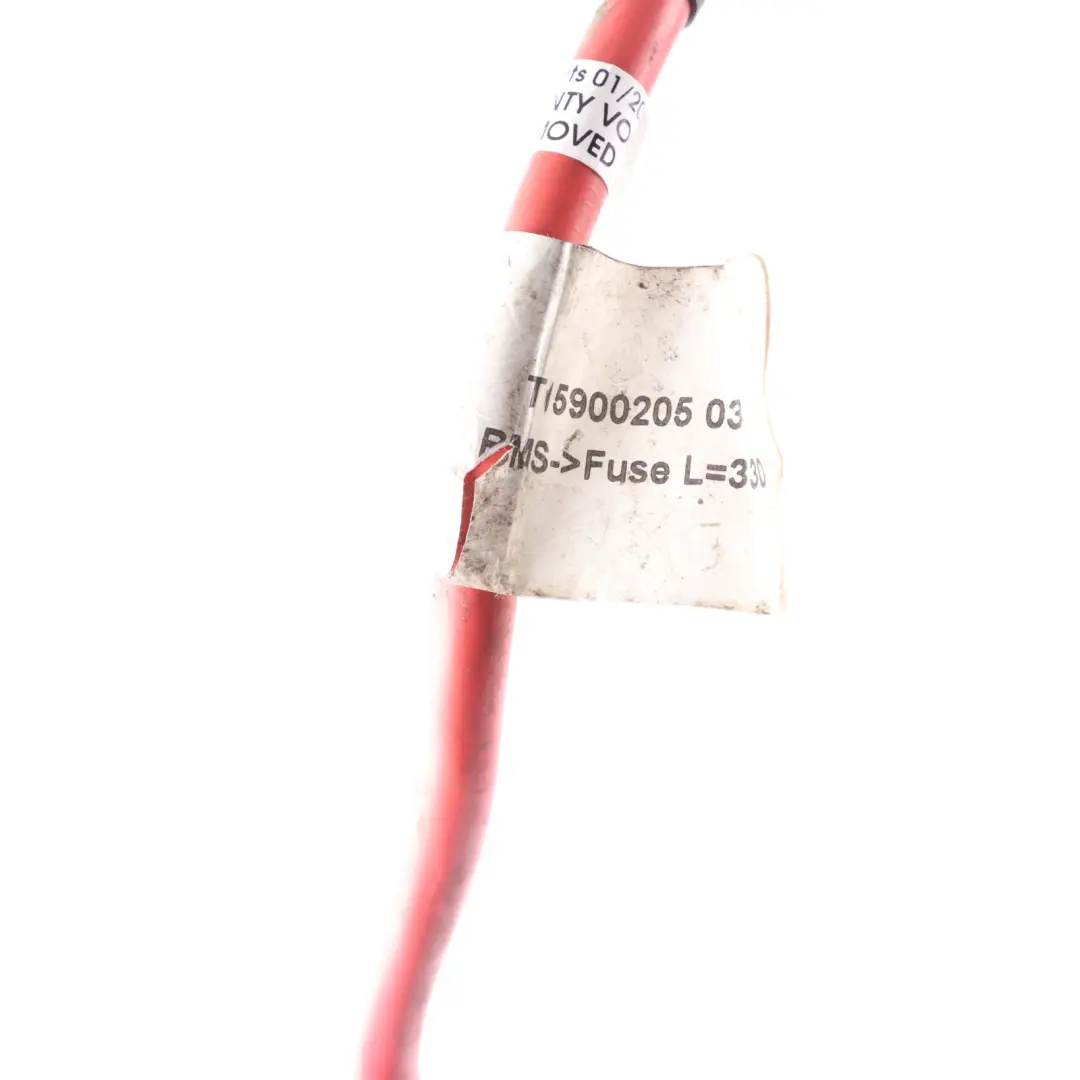 Trefor Tripl Cargo Scooter RMS Fuse Cable Electrical Loom Wiring to with Part number T15900205 Trefor Tripl Cargo Scooter RMS Fuse Cable Electrical Loom Wiring - SKU T15900205 - Part number T15900205