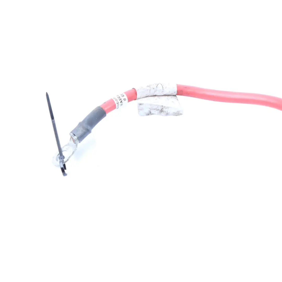 Trefor Tripl Cargo Scooter RMS Fuse Cable Electrical Loom Wiring to with Part number T15900205 Trefor Tripl Cargo Scooter RMS Fuse Cable Electrical Loom Wiring - SKU T15900205 - Part number T15900205