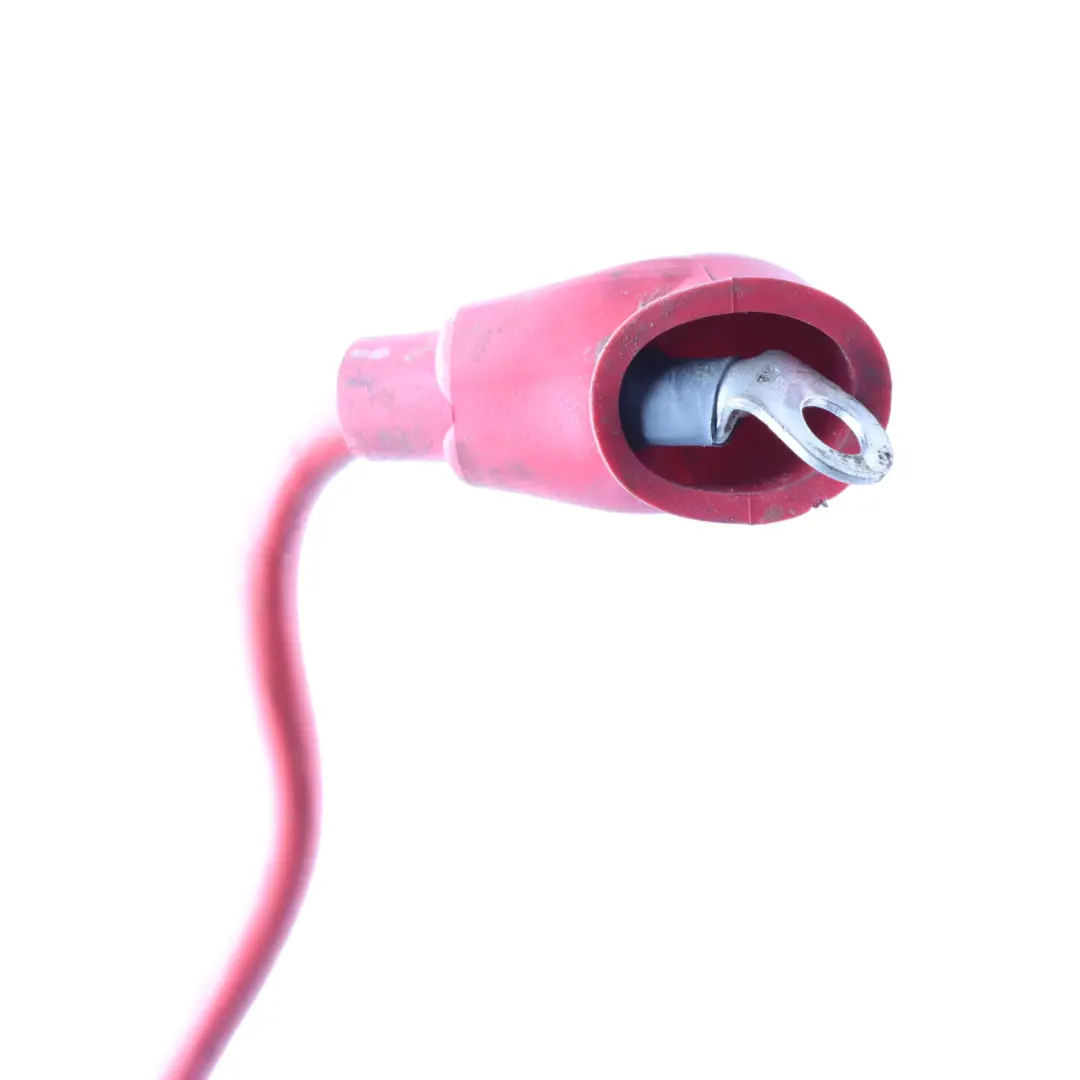 Trefor Tripl Cargo Scooter RMS Fuse Cable Electrical Loom Wiring to with Part number T15900205 Trefor Tripl Cargo Scooter RMS Fuse Cable Electrical Loom Wiring - SKU T15900205 - Part number T15900205