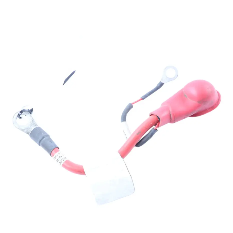 Trefor Tripl Cargo Scooter Fuse Solenoid Cable Electrical Loom Wiring to with Part number T15900206 Trefor Tripl Cargo Scooter Fuse Solenoid Cable Electrical Loom Wiring - SKU T15900206 - Part number T15900206