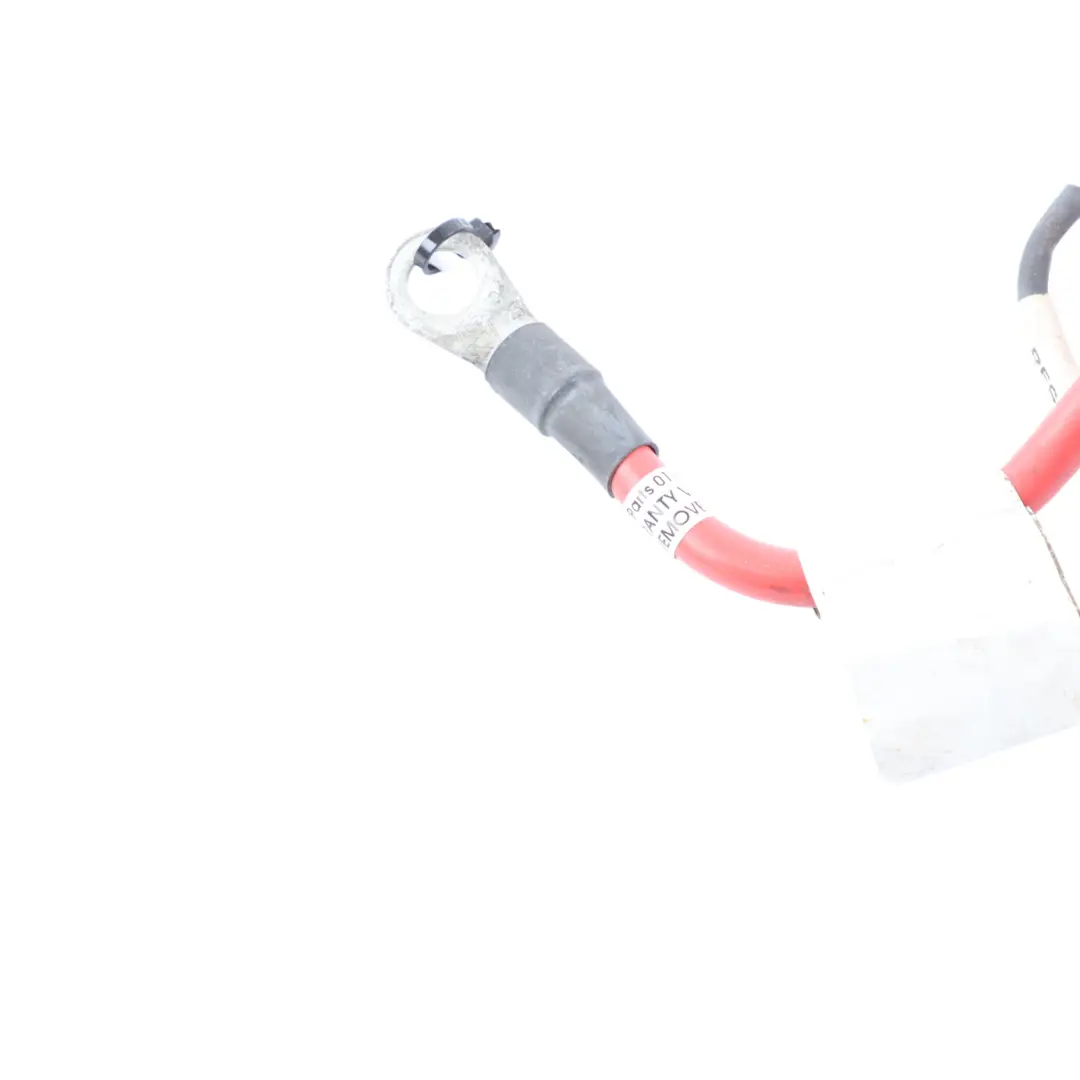 Trefor Tripl Cargo Scooter Fuse Solenoid Cable Electrical Loom Wiring to with Part number T15900206 Trefor Tripl Cargo Scooter Fuse Solenoid Cable Electrical Loom Wiring - SKU T15900206 - Part number T15900206