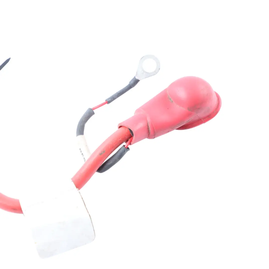 Trefor Tripl Cargo Scooter Fuse Solenoid Cable Electrical Loom Wiring to with Part number T15900206 Trefor Tripl Cargo Scooter Fuse Solenoid Cable Electrical Loom Wiring - SKU T15900206 - Part number T15900206