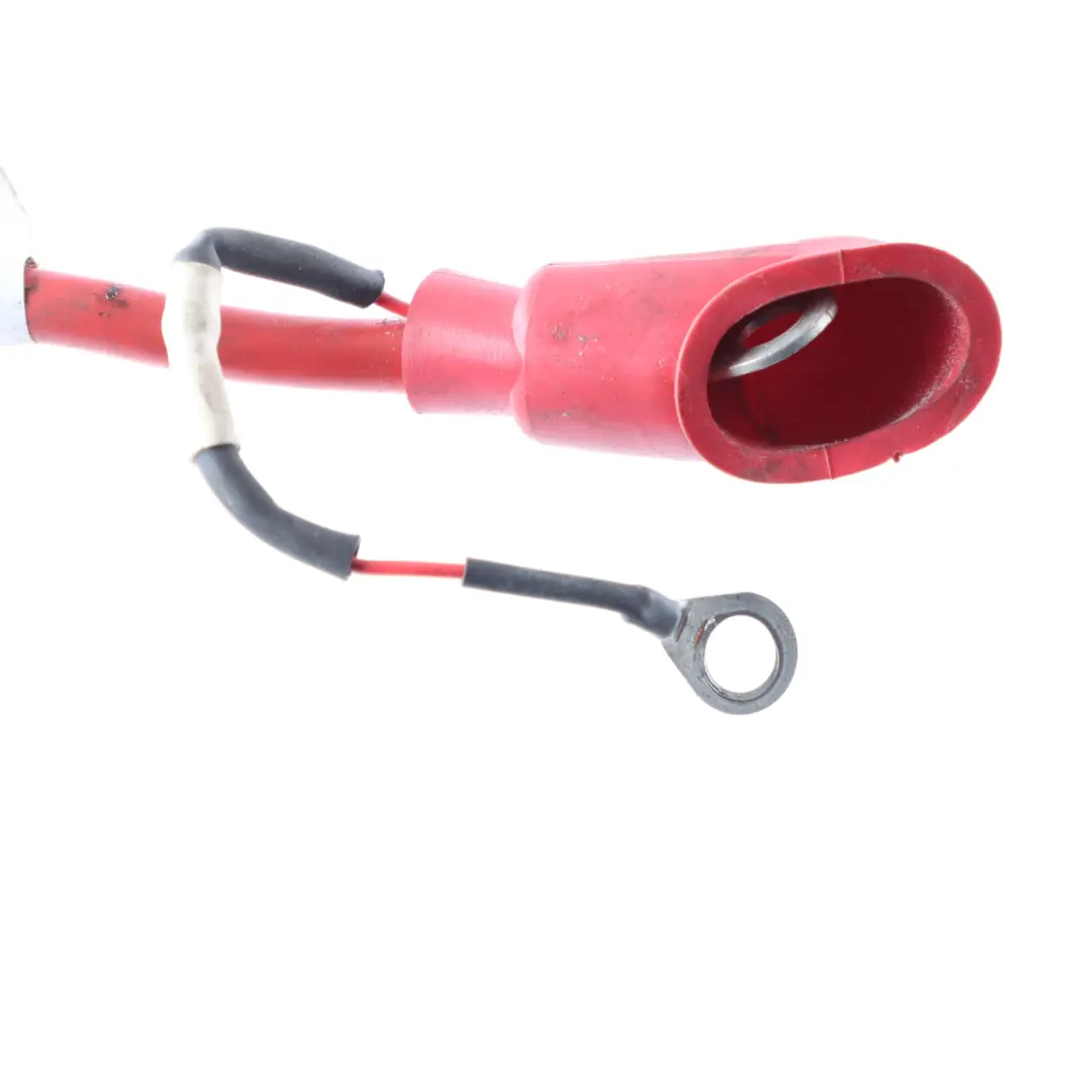 Trefor Tripl Cargo Scooter Fuse Solenoid Cable Electrical Loom Wiring to with Part number T15900206 Trefor Tripl Cargo Scooter Fuse Solenoid Cable Electrical Loom Wiring - SKU T15900206 - Part number T15900206