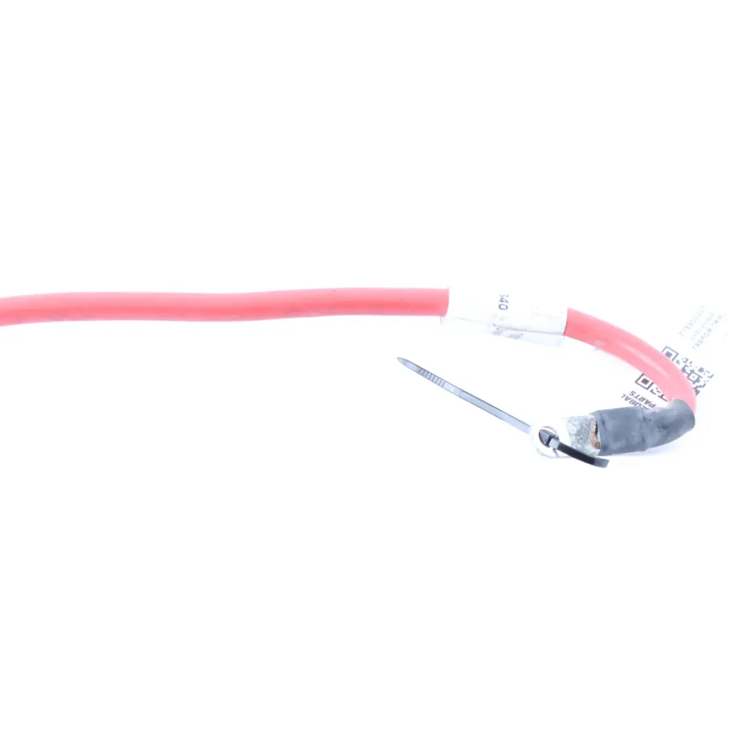 Trefor Tripl Cargo Scooter Solenoid Cable Electrical Loom Wiring to with Part number T15900207 Trefor Tripl Cargo Scooter Solenoid Cable Electrical Loom Wiring - SKU T15900207 - Part number T15900207