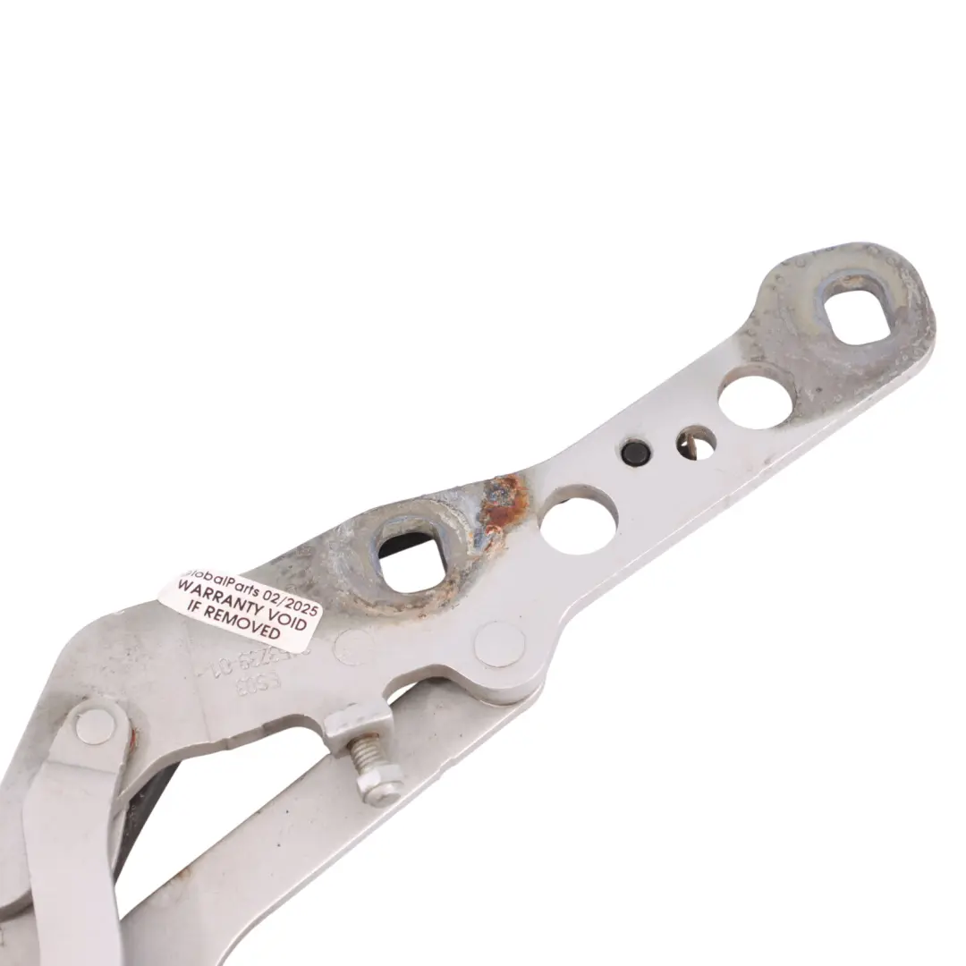 BMW X3 E83 Cerniera Cofano Anteriore Sinistra Titan Argento - 354 - SKU 3411447-TS - Numero di parte 3411447