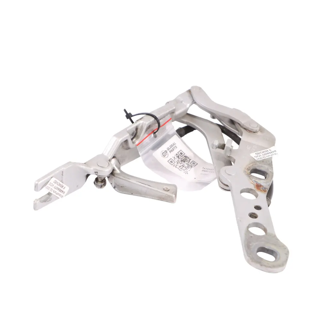 BMW X3 E83 Cerniera Cofano Anteriore Sinistra Titan Argento - 354 - SKU 3411447-TS - Numero di parte 3411447