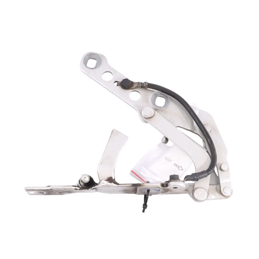 BMW X3 E83 Cerniera Cofano Anteriore Sinistra Titan Argento - 354 - SKU 3411447-TS - Numero di parte 3411447