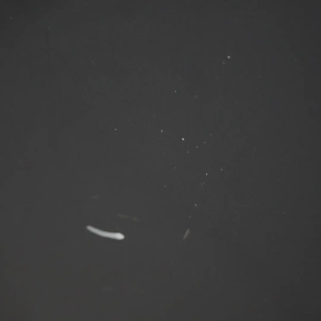 Puerta Delantera Derecha Tapa Night Blue Pearl - Z5D para Audi A6 C6 con número de pieza 4F0831052F Audi A6 C6 Puerta Delantera Derecha Tapa Night Blue Pearl - Z5D - SKU 4F0831052F-NIBL - Número de pieza 4F0831052F