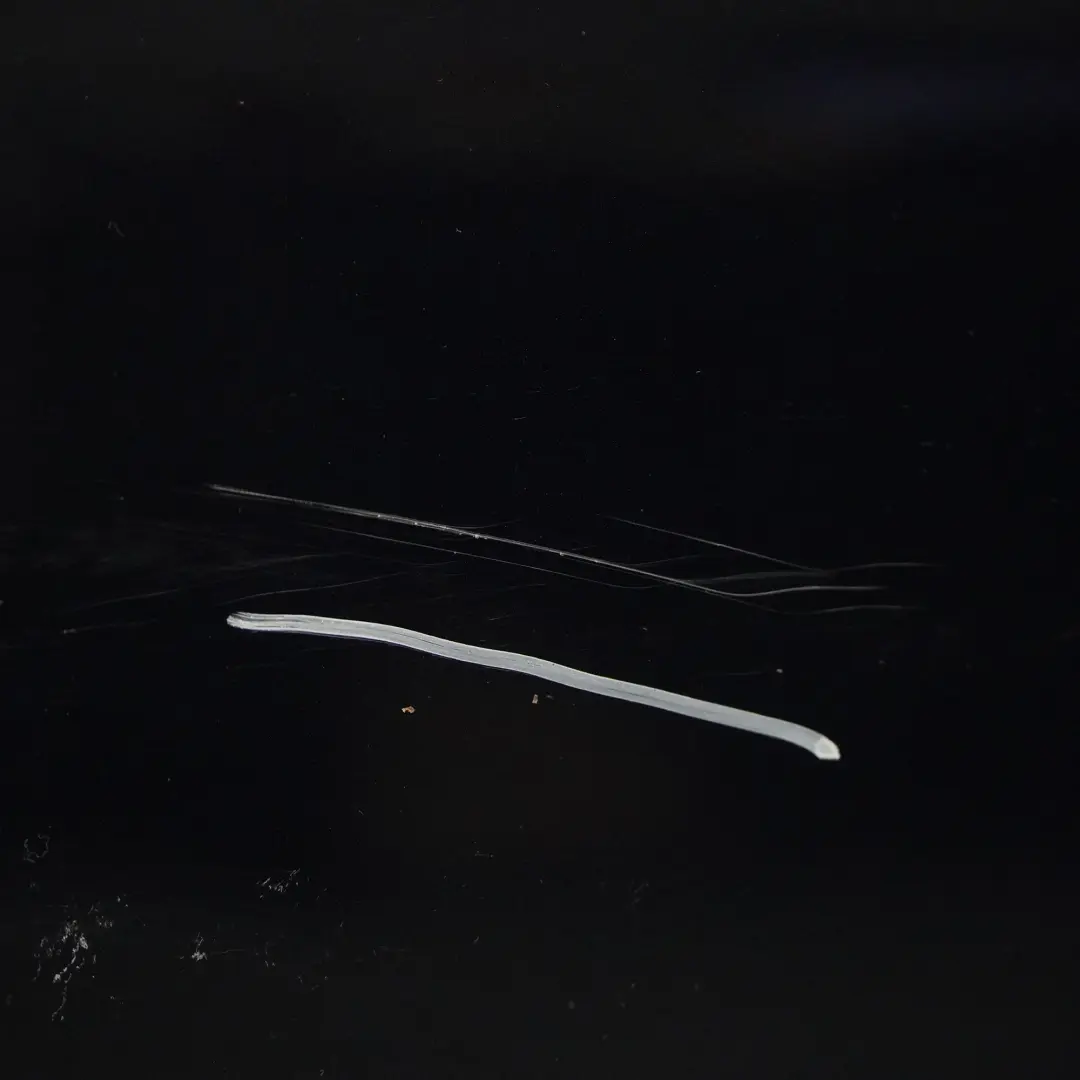 Audi A6 C6 Puerta Delantera Derecha Tapa Night Blue Pearl - Z5D - SKU 4F0831052F-NIBL - Número de pieza 4F0831052F