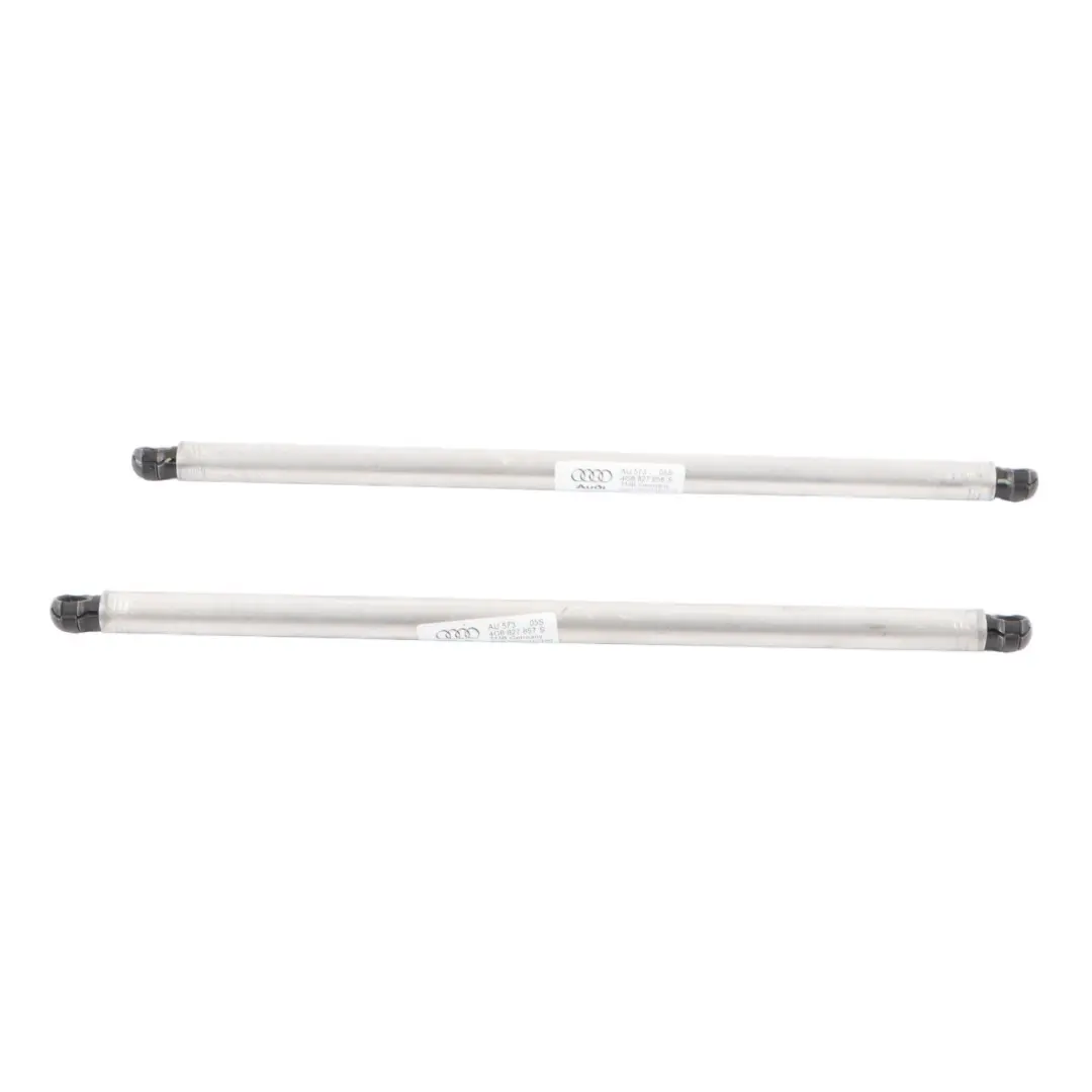4G8 Portellone Posteriore Supporto Gas Sinistro Destro Set per Audi A7 con numero di parte 4G8827858S Audi A7 4G8 Portellone Posteriore Supporto Gas Sinistro Destro Set - SKU 4G8827858S-1 - Numero di parte 4G8827858S