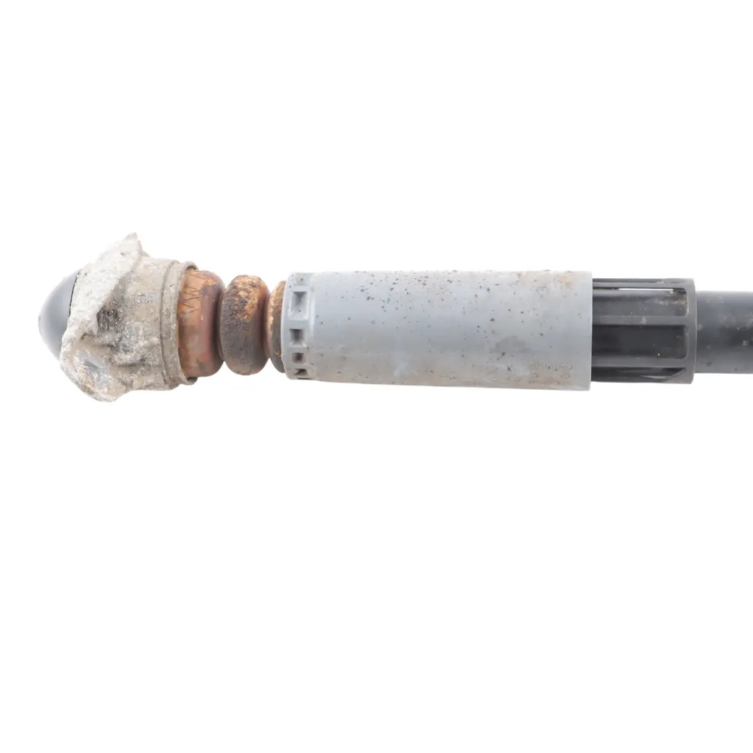 Audi A3 S3 8V Rear Axle Strut Shock Absorber Left Right N/O/S - SKU 5Q0513029BK - Part number 5Q0513029BK