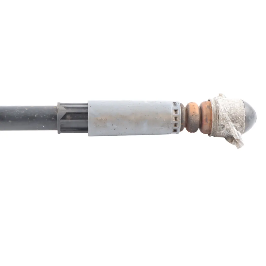 Audi A3 S3 8V Eje Trasero Strut Amortiguador Izquierda Derecha - SKU 5Q0513029BK - Número de pieza 5Q0513029BK