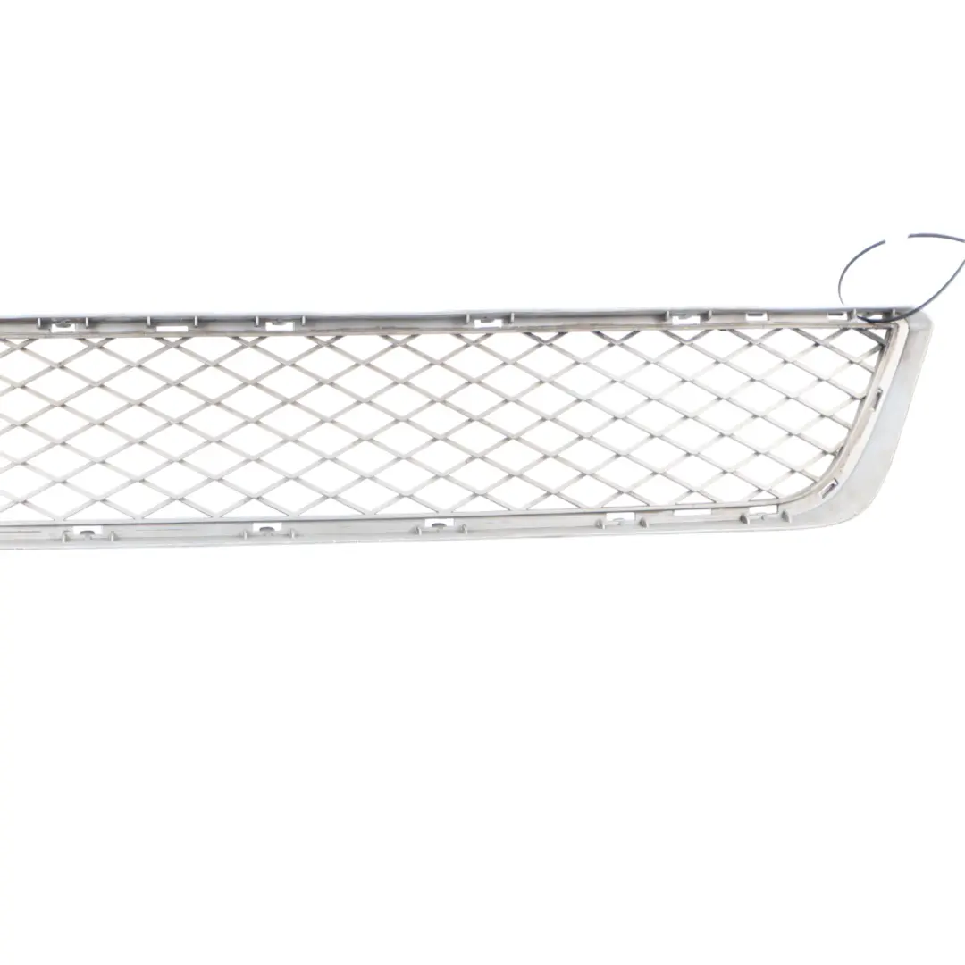 Front Bumper Center Lower Radiator Grille Aluminium Matt to BMW E70 LCI with Part number 7222854 BMW E70 LCI Front Bumper Center Lower Radiator Grille Aluminium Matt - SKU 7222854 - Part number 7222854