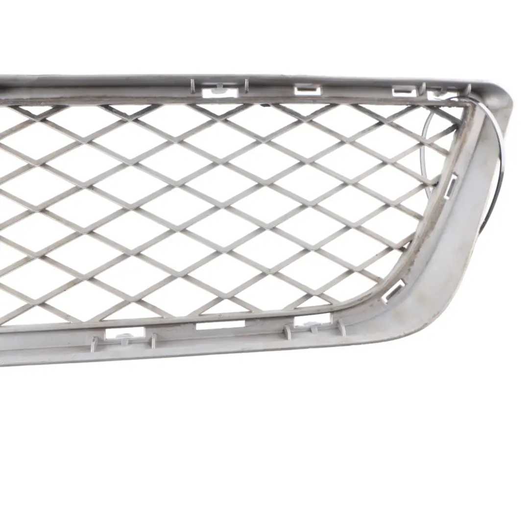 Front Bumper Center Lower Radiator Grille Aluminium Matt to BMW E70 LCI with Part number 7222854 BMW E70 LCI Front Bumper Center Lower Radiator Grille Aluminium Matt - SKU 7222854 - Part number 7222854