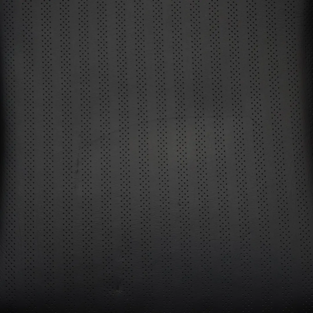  Vordersitz MINI R56 Beheizt Links Seite Sport Carbon Schwarz Leder Punch - SKU 7255519-3 - Teilenummer 7255519