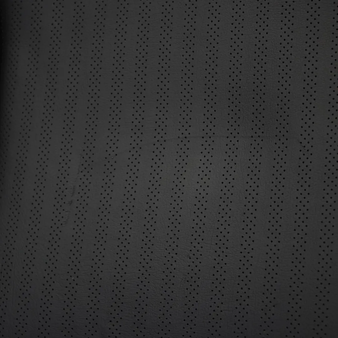  Vordersitz MINI R56 Beheizt Links Seite Sport Carbon Schwarz Leder Punch - SKU 7255519-3 - Teilenummer 7255519