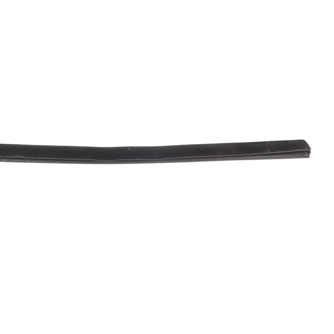 BMW F06 Rear Door Outer Weather Strip Trim Left N/S High Gloss - SKU 7291915 - Part number 7291915